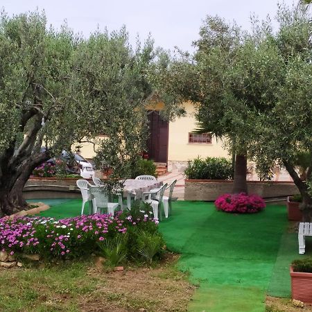 Bed and Breakfast Casanonnavittoria Terrasini Esterno foto